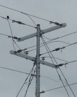 DA2000096E2B7X2